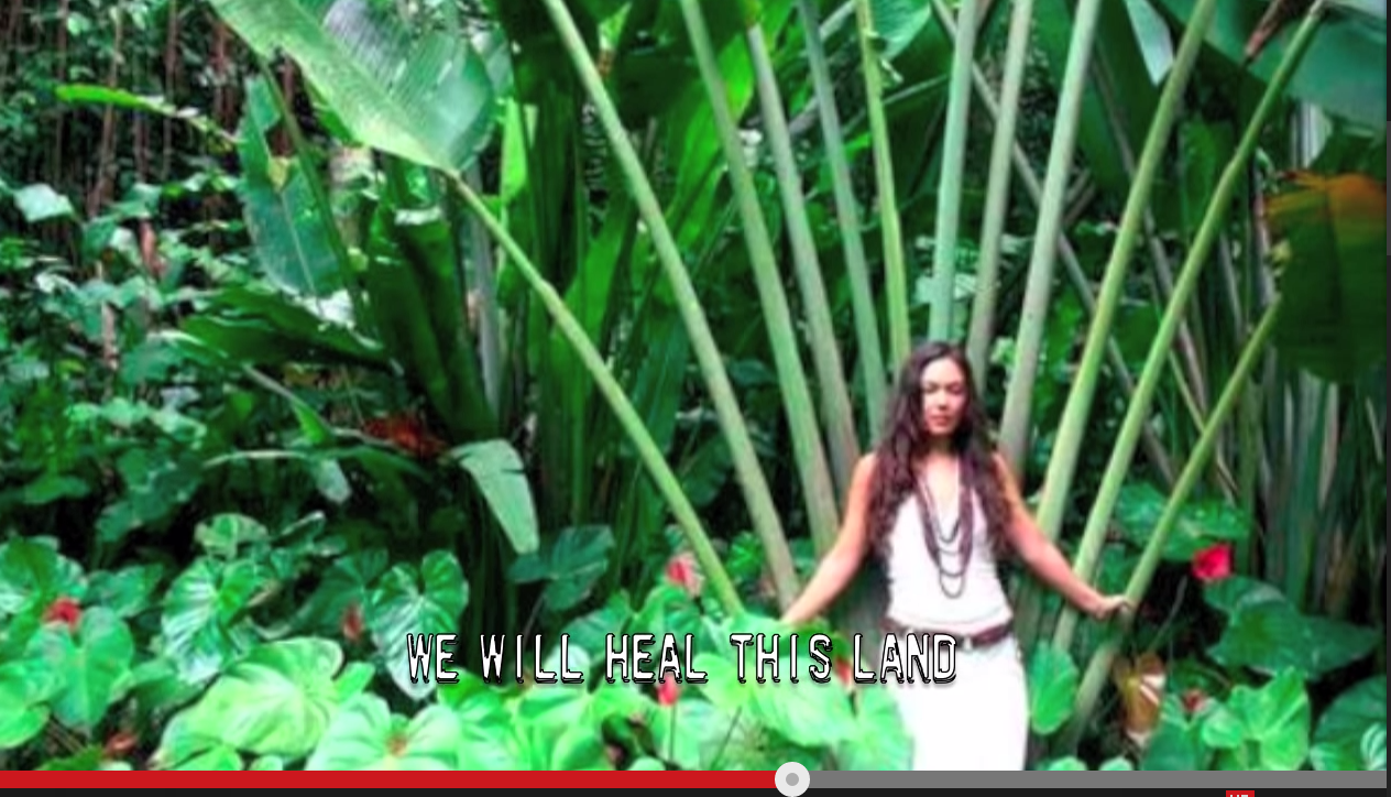 How To Heal the EARTH